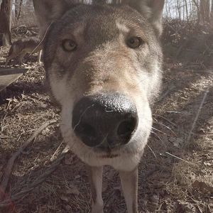 Meet your Posher, Cheryl